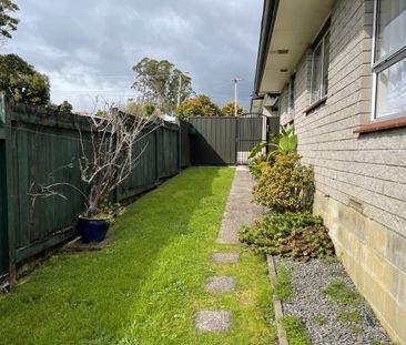 Tidy & Sunny - Gate Pa - Photo 3