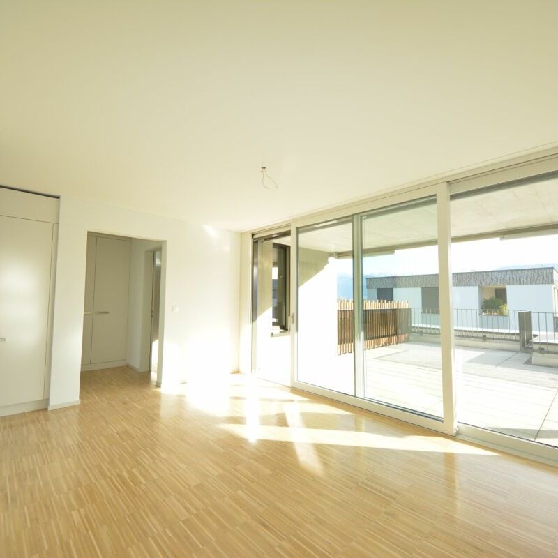 5.5 Zimmer Attikawohnung im Grünen - Foto 1