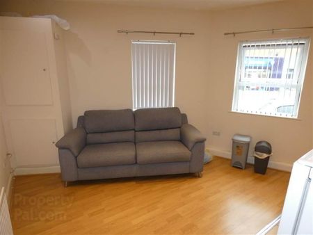 Apt 3 367, Beersbridge Road - Photo 4