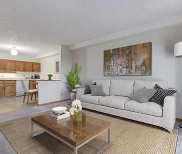 Renovated Suite - 1 Bedroom - Photo 3