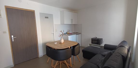 Location Appartement 1 pièce 19m² BELFORT 90000 - Photo 2