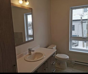 Beau 3 ½ Très Lumineux à Louer - Photo 2