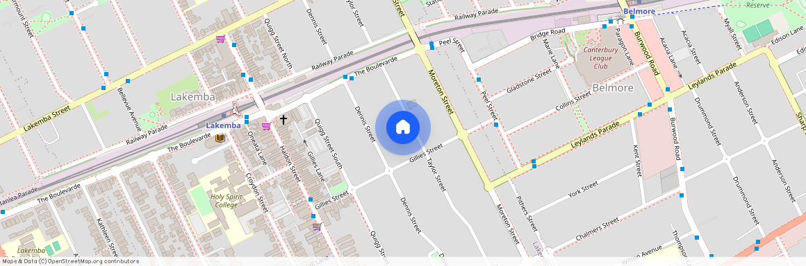 53 Taylor Street, NSW 2195, Lakemba