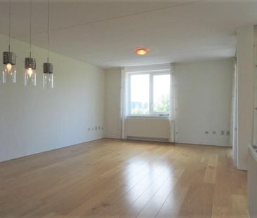 Walter Kollolaan - Photo 6