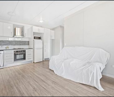 WATER & ELECTRICITY INCLUDED! SPACIOUS 1-BEDROOM IN PRIME LOCATION - Photo 3