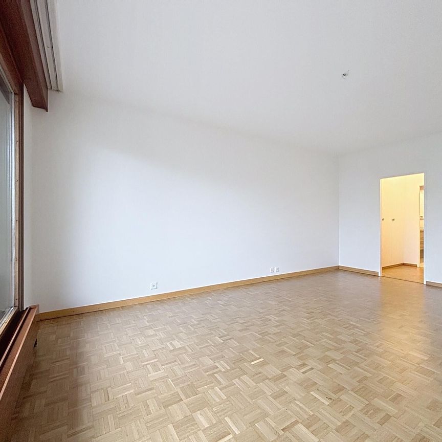 Beautiful 6-room apartment through apartment near Ecolint - Photo 1