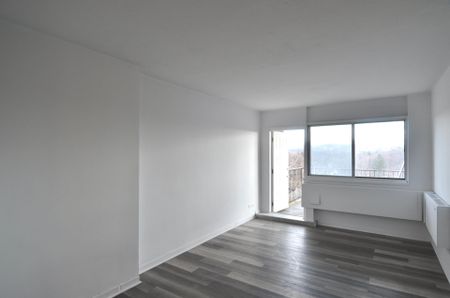 Condo for rent, Mont-Royal - Photo 3