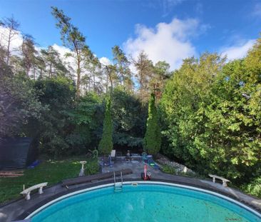 For Lease - 5 Black Willow Court Unit# unit#1, Richmond Hill, Ontario - Photo 3