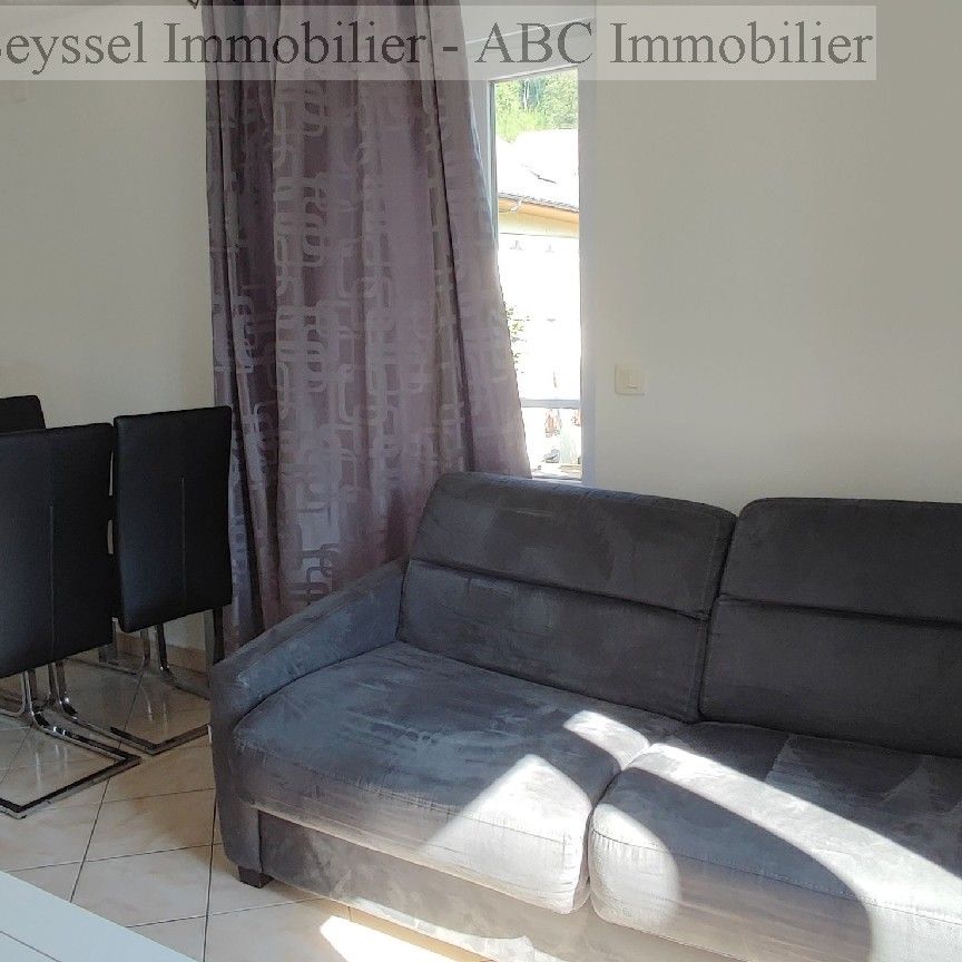 T2 meublé 42m² et caves à Frangy - Photo 1