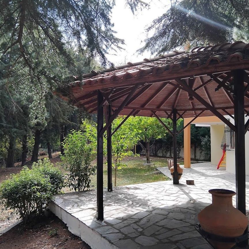 Διαμέρισμα για ενοικίαση Κέντρο (Χορτιάτης) - Photo 1