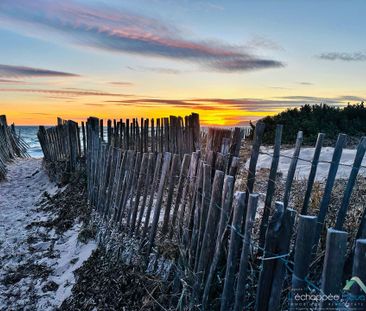 Studio pour 3 personnes sur le port d'Hyères - Photo 2