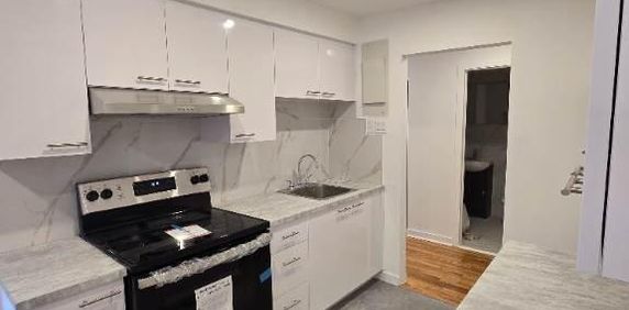 SUNNY RENOVATED 4 1/2 (2BDRM) IN LASALLE - Photo 2