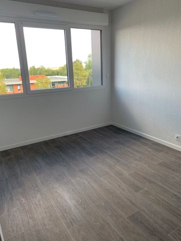 Location Appartement 1 pièce 19m² AUZEVILLE TOLOSANE 31320 - Photo 5