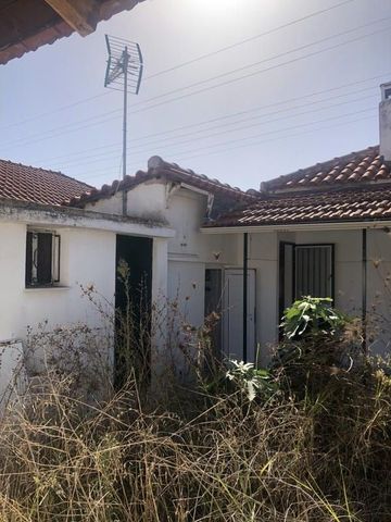 Μονοκατοικία για ενοικίαση Χαβάρι (Αμαλιάδα) - Φωτογραφία 3