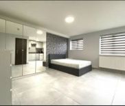 1 bed Apartment for Rent - Photo 3