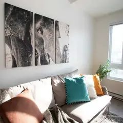 Appartement · 46 m² · Ville-Marie - Photo 2