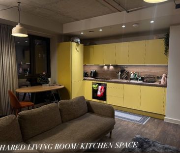 Room in a Shared Flat, Atlantic Crescent, HA9 - Photo 6