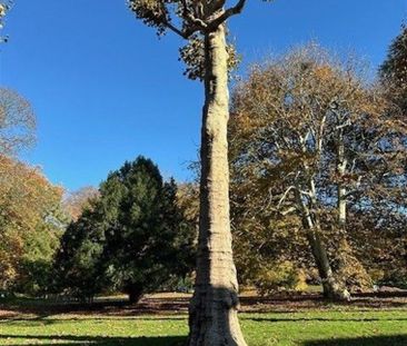 Gelijkvloers appartement te huur in Gent - Foto 4