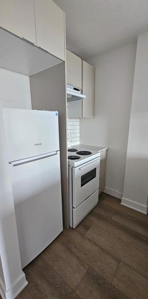 1 CH - 1 SDB - Montréal - $1,145 /mo - Photo 1