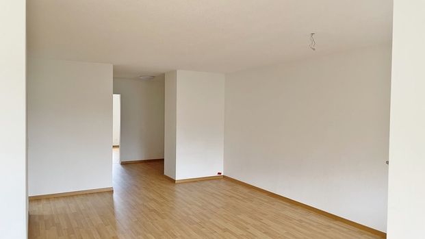 Grosszügige Wohnung mit guter Verkehrsanbindung - Foto 1