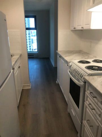 Rideau East Apartments — New renovated three-bedroom unit on the 12th floor facing Rideau Cannel - Photo 4
