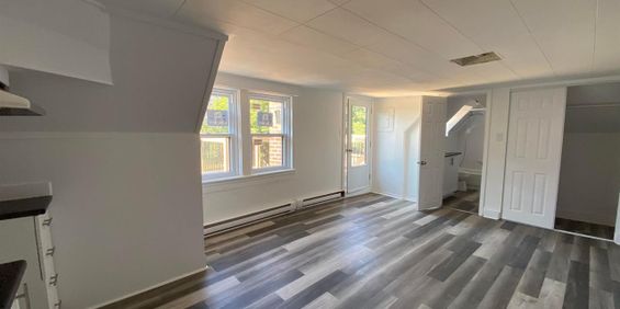 145 Rue Champlain (Hull) Magnifique 3 1/2 à Quelques Pas D'Ottawa - Photo 3