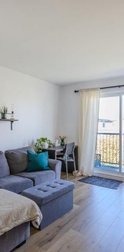 Appartement 3 ½ à louer Lévis décembre 2025 - Photo 1