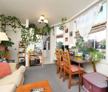 1 Bedroom Apartment on Ontario Street - Photo 1