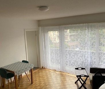 Rent a 1 room apartment in Erlenbach - Photo 2