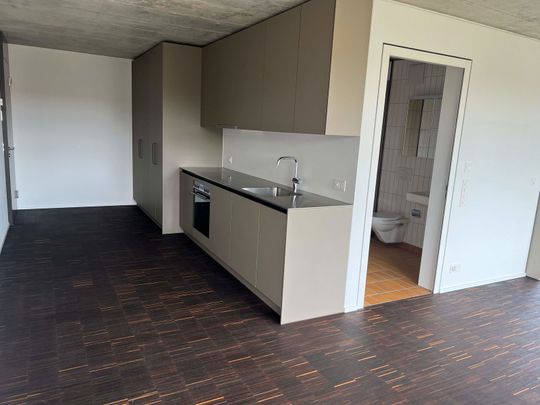 2.5 Zimmer, 52 m², 7. Stock - Photo 1