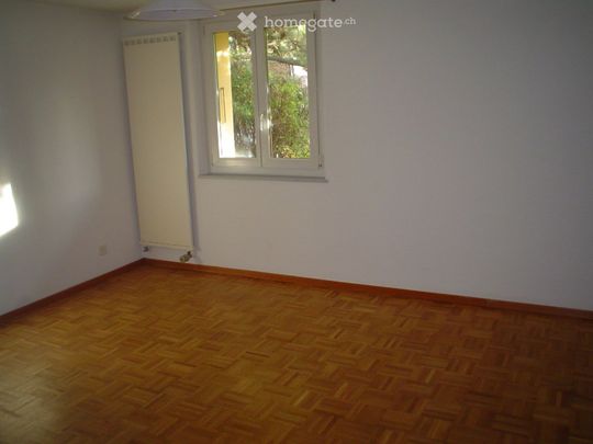 2.5 Zimmer, 75 m² - Photo 1