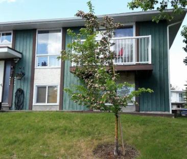 Clean 1br Southwood condo | 6 - 11415 8 Street Southwest, Calgary - Photo 1