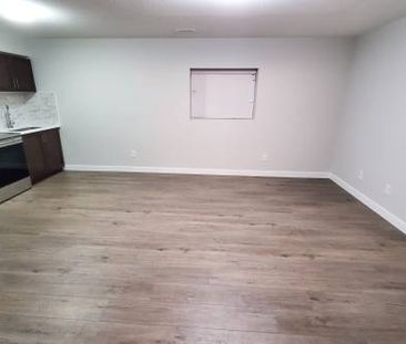 1 Bedroom Basement Suite - Photo 1