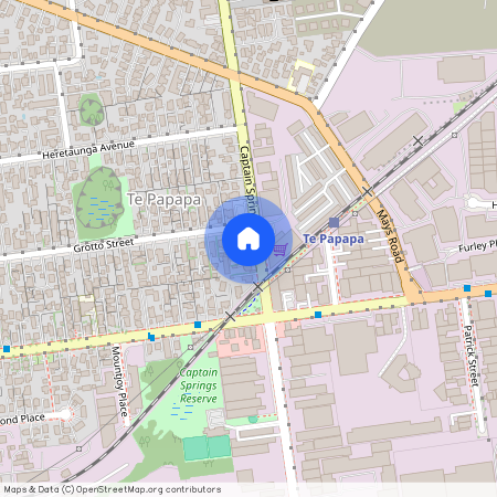 166 Captain Springs Road, Onehunga, Auckland City