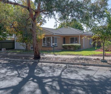 Unit 1/14 Collingrove Avenue - Photo 4