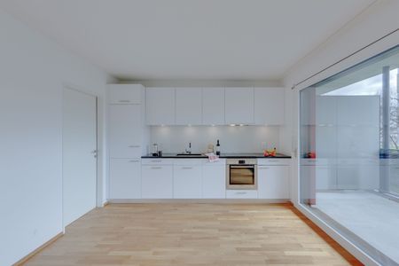 Little gem for sale? Modern single apartment is looking for you! - Photo 3
