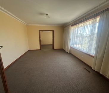 GREAT LOCATION ON LARGE ALLOTMENT - Photo 6