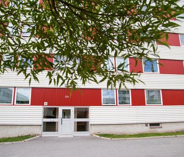 Hamnplan 16 B, 94161, Piteå - Foto 6