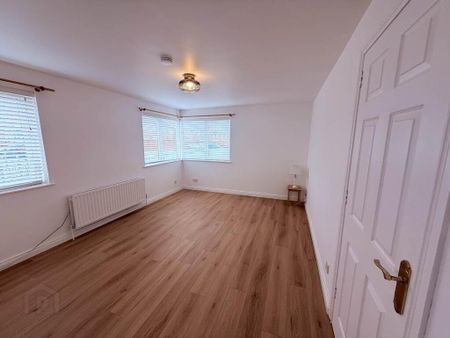 49 Willowfield Street, Belfast, BT6 9AW - Photo 4