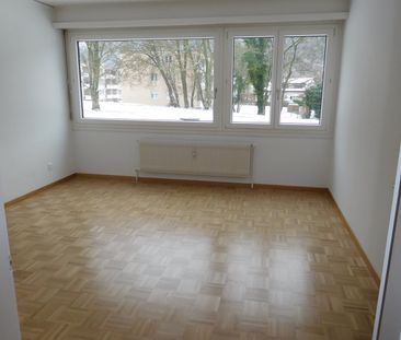 Grosszügige 2.5-Zimmerwohnung in ruhigem Quartier ! - Foto 3