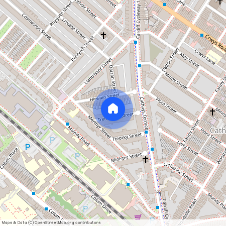 Treherbert Street, Cathays, Cardiff, CF24