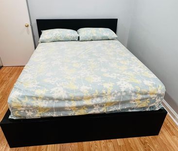 For Lease - 369 Martin Street, Milton, Ontario - Photo 2