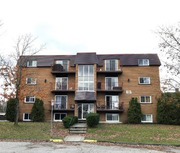 3½ à louer – 950 $/mois | Sherbrooke Est - Photo 4