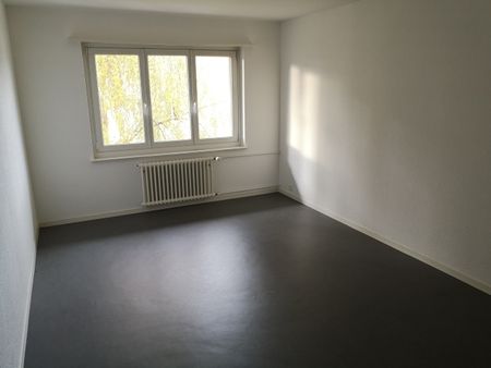 Apartment - Photo 5