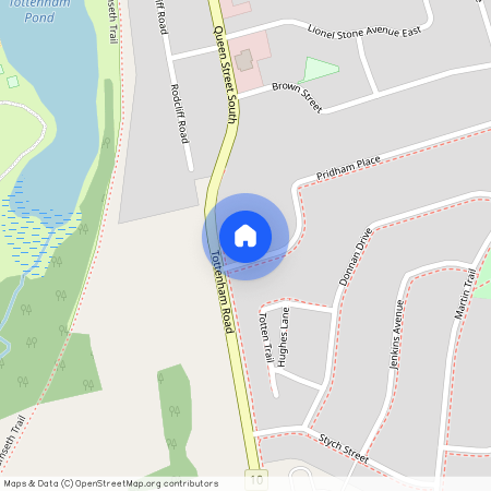 4 Pridham (basement ) Place, New Tecumseth