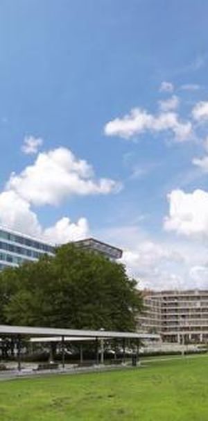 Bos en Lommerplantsoen 1055 Amsterdam - Photo 1