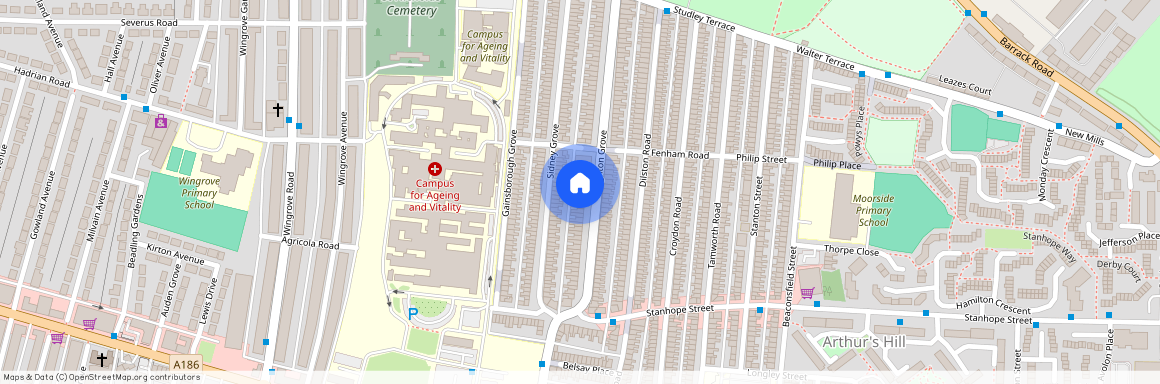 Brighton Grove, Fenham, Newcastle Upon Tyne