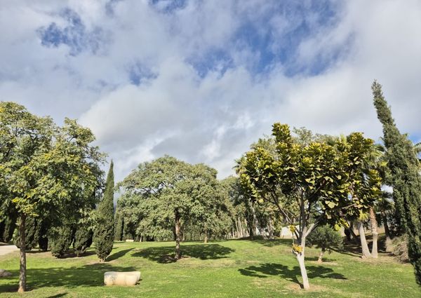 941393 - Atico - Penthouse for rent El Higuerón, Fuengirola, Málaga, Spain