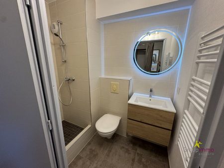 Appartement 1 pièce à Illkirch-Graffenstaden - Photo 3