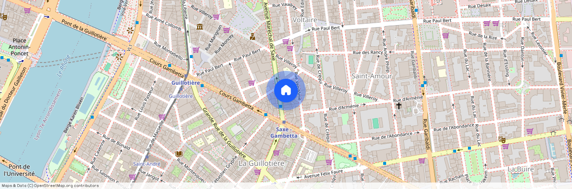 153 AVENUE MARECHAL DE SAXE, LYON 3EME ARRONDISSEMENT Saxe-Vileroy